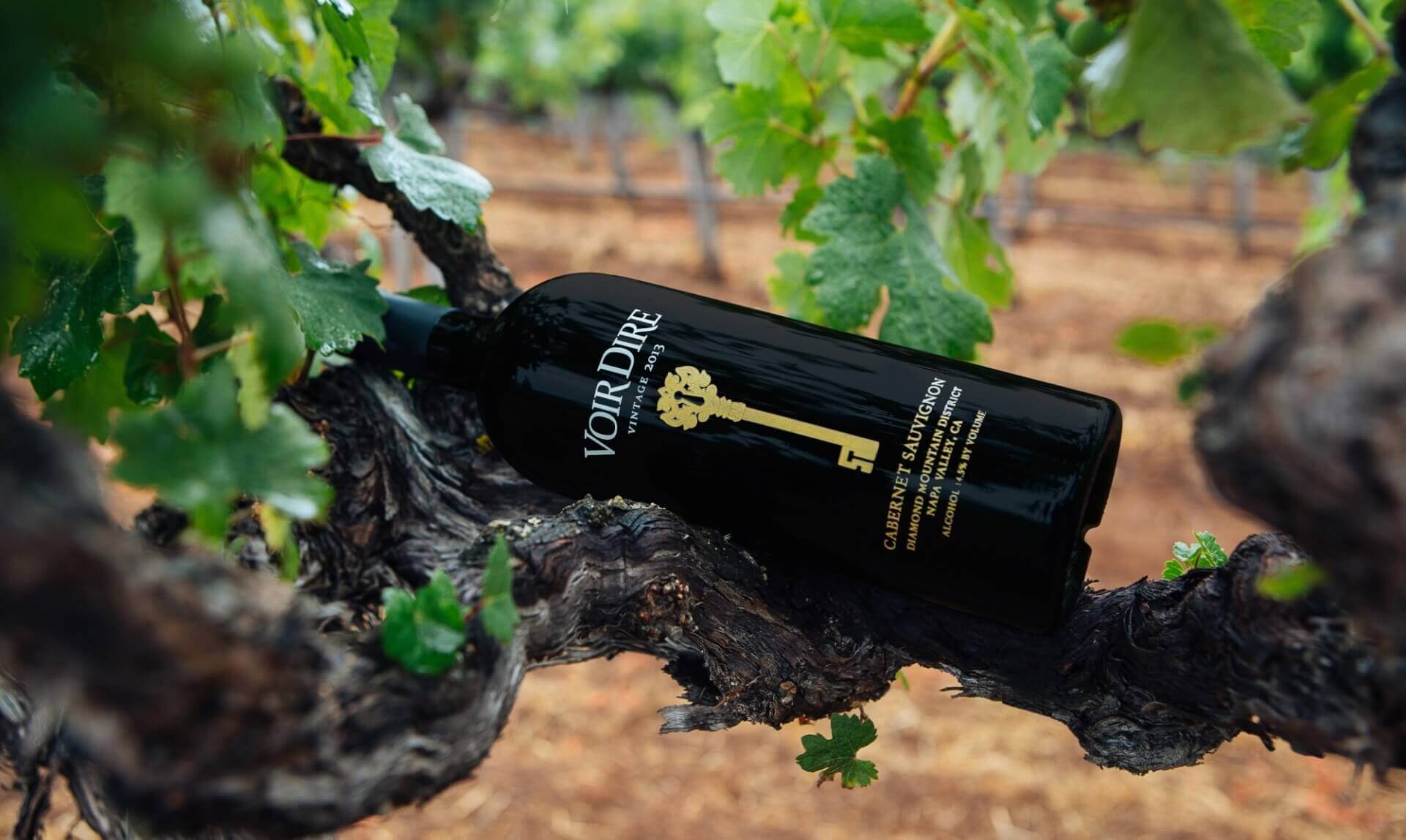 Voir Dire Wine Bottle Image in Tree